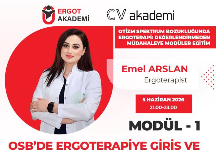 Otizm Spektrum Bozukluğunda Ergoterapi: Değerlendirmeden Müdahaleye Modüler Eğitim